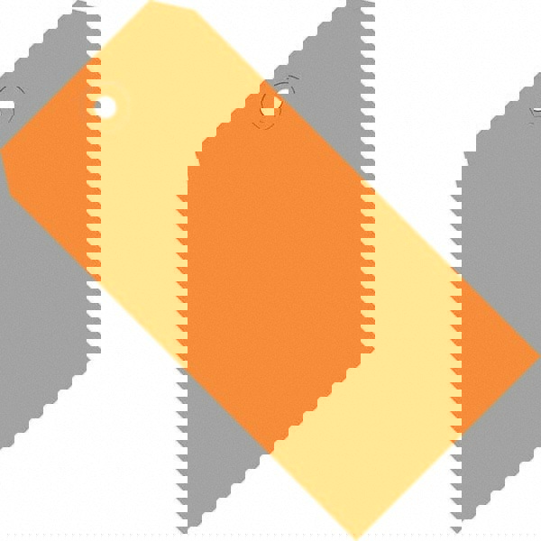 Blank Tag: 4-3/4'' High, Orange, Synthetic Paper